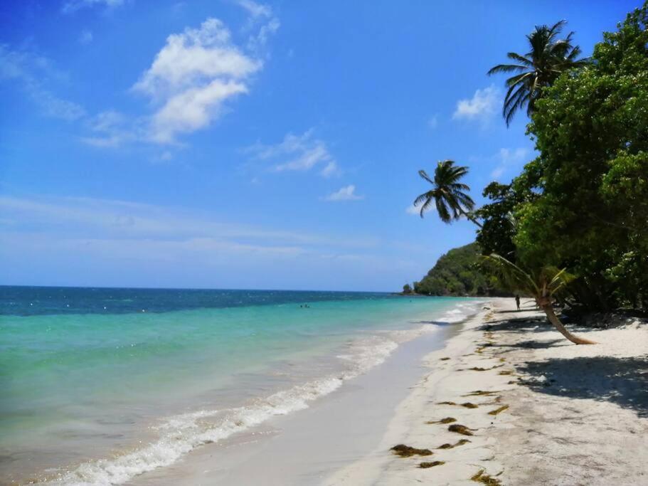 Mi Hermosa - Casa Islena A 70 Metros De La Playa Archibolds Bagian luar foto