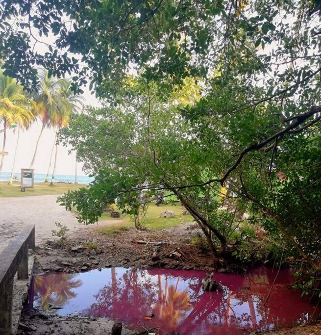 Mi Hermosa - Casa Islena A 70 Metros De La Playa Archibolds Bagian luar foto