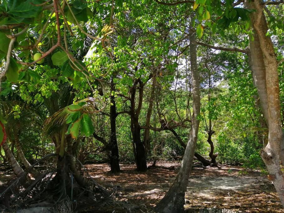 Mi Hermosa - Casa Islena A 70 Metros De La Playa Archibolds Bagian luar foto